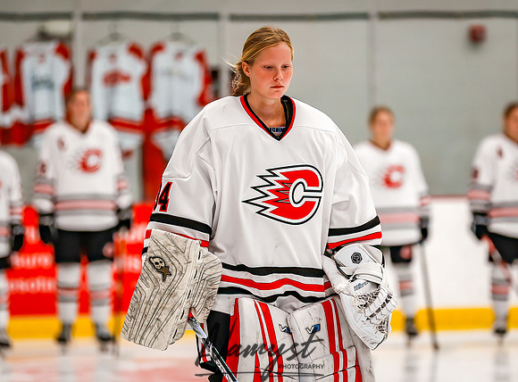 Centennial vs Forest Lake Varsity Hockey 28