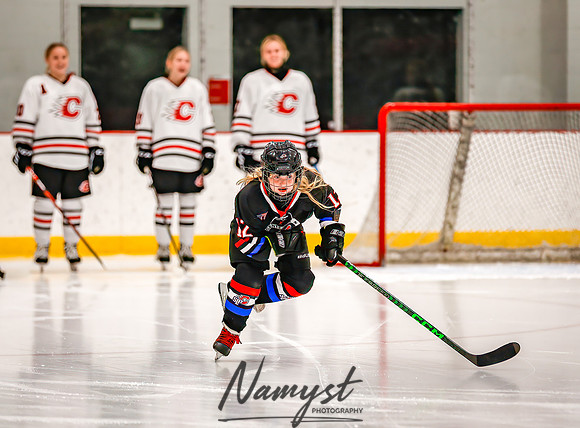 Centennial vs Forest Lake Varsity Hockey 27