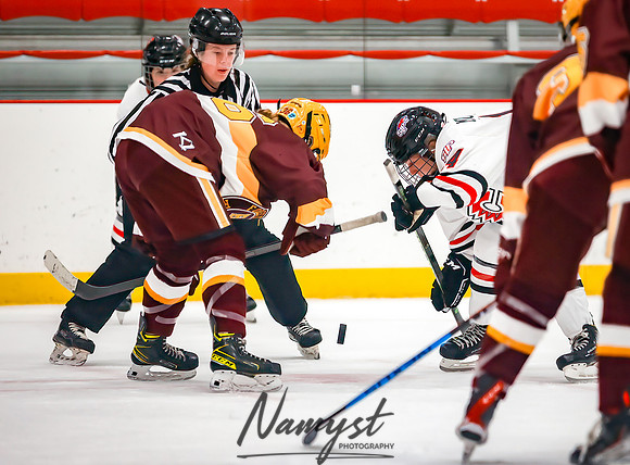 Centennial vs Forest Lake JV Hockey 58