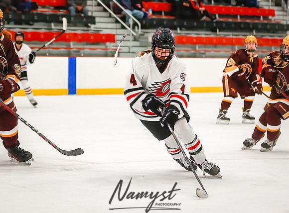 Centennial vs Forest Lake JV Hockey 68
