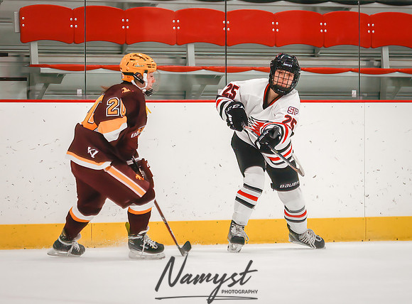 Centennial vs Forest Lake JV Hockey 66