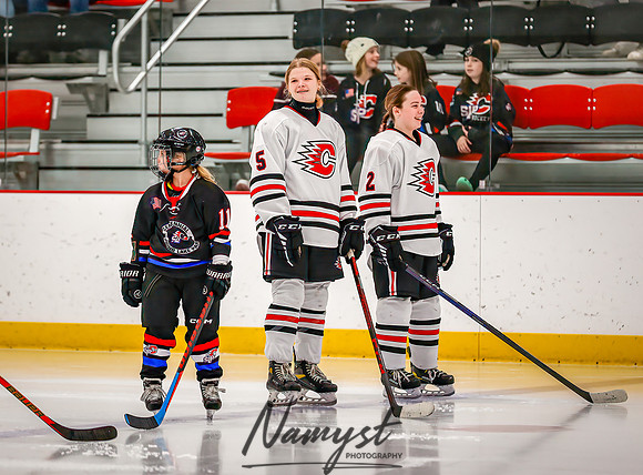 Centennial vs Forest Lake Varsity Hockey 31