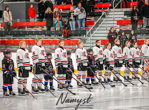 Centennial vs Forest Lake Varsity Hockey 37