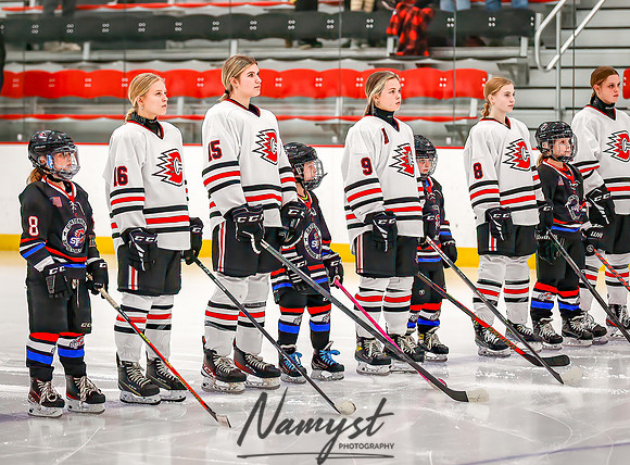 Centennial vs Forest Lake Varsity Hockey 38