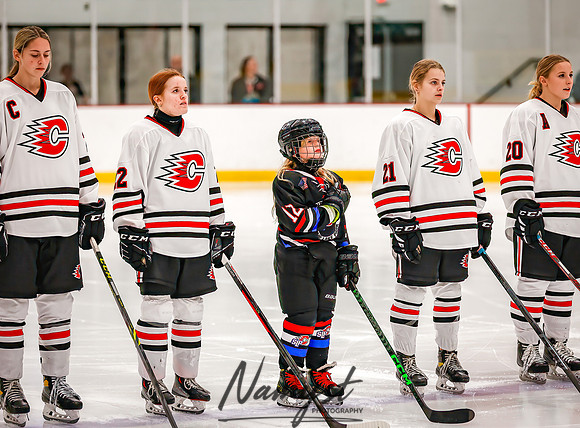 Centennial vs Forest Lake Varsity Hockey 40