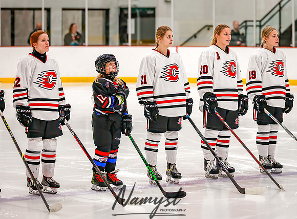 Centennial vs Forest Lake Varsity Hockey 39