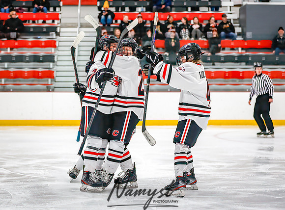 Centennial vs Forest Lake Varsity Hockey 46