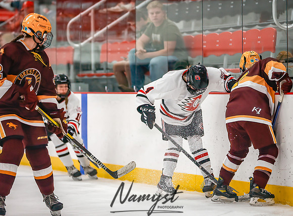 Centennial vs Forest Lake Varsity Hockey 53