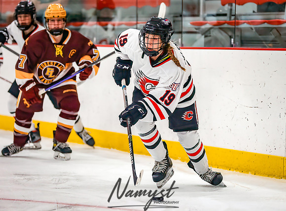 Centennial vs Forest Lake Varsity Hockey 56