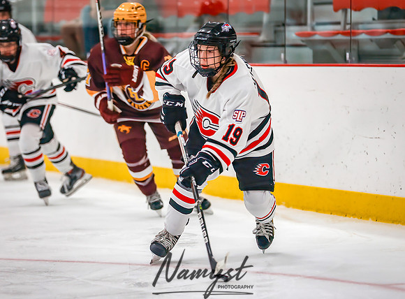 Centennial vs Forest Lake Varsity Hockey 58