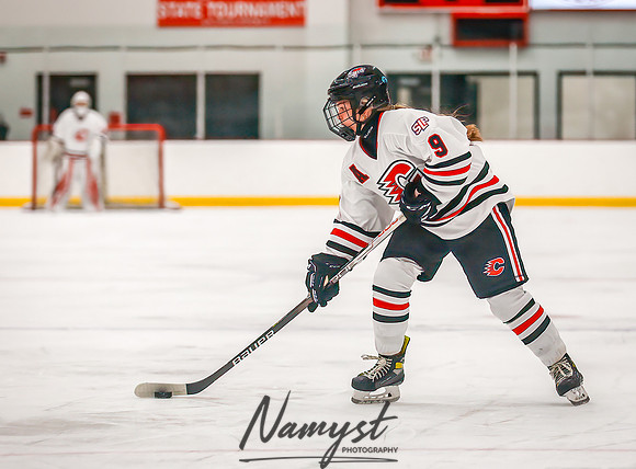 Centennial vs Forest Lake Varsity Hockey 63