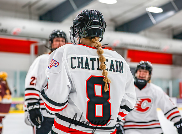 Centennial vs Forest Lake Varsity Hockey 71