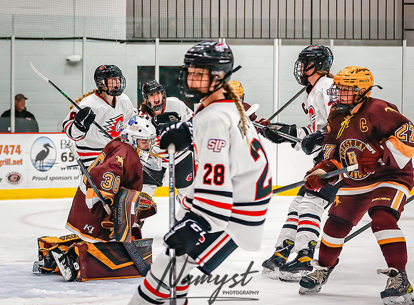 Centennial vs Forest Lake Varsity Hockey 91