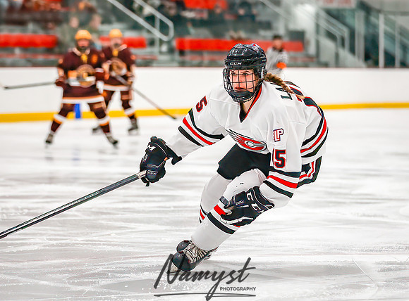 Centennial vs Forest Lake Varsity Hockey 123