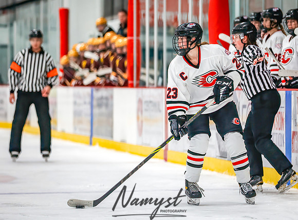 Centennial vs Forest Lake Varsity Hockey 136
