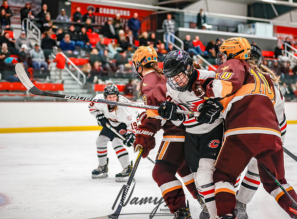Centennial vs Forest Lake Varsity Hockey 155