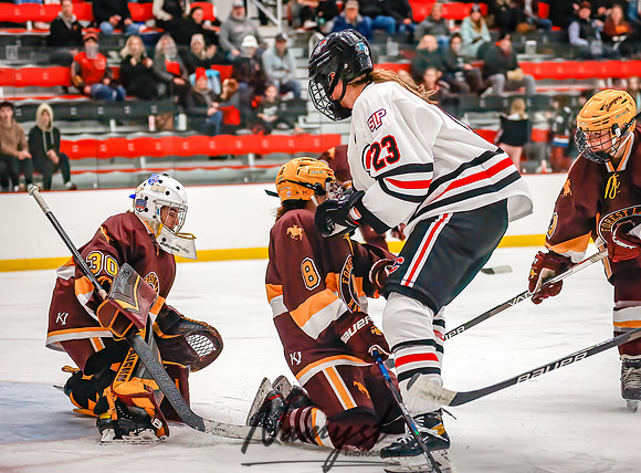 Centennial vs Forest Lake Varsity Hockey 169