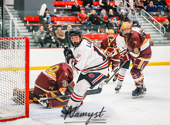 Centennial vs Forest Lake Varsity Hockey 173