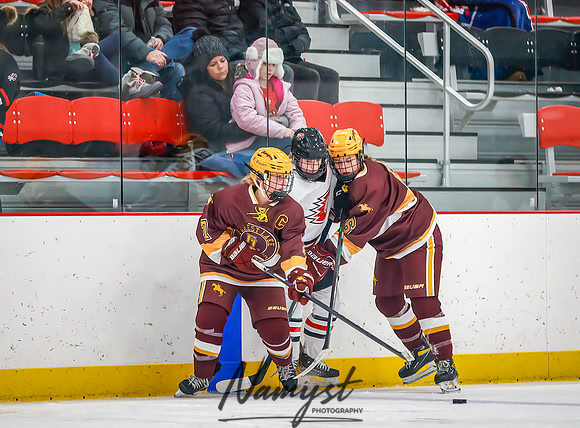 Centennial vs Forest Lake Varsity Hockey 176