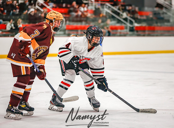 Centennial vs Forest Lake Varsity Hockey 187