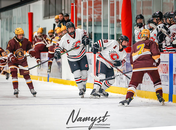 Centennial vs Forest Lake Varsity Hockey 189