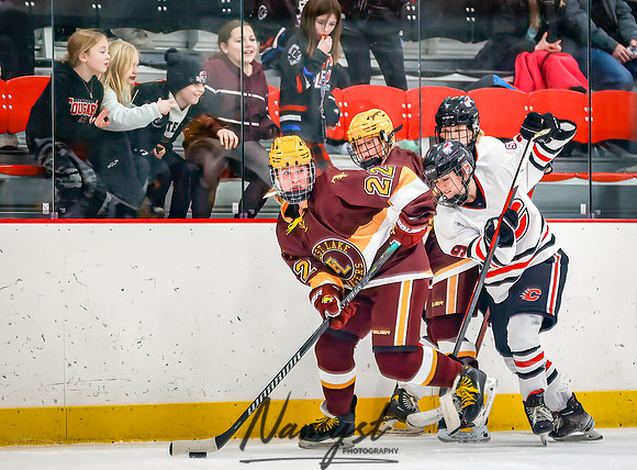 Centennial vs Forest Lake Varsity Hockey 190