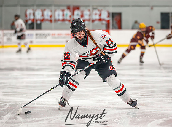 Centennial vs Forest Lake Varsity Hockey 195