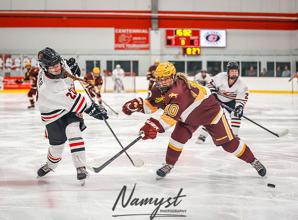 Centennial vs Forest Lake Varsity Hockey 196