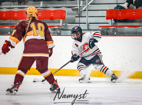 Centennial vs Forest Lake Varsity Hockey 199