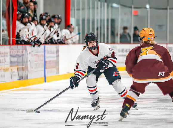 Centennial vs Forest Lake Varsity Hockey 200