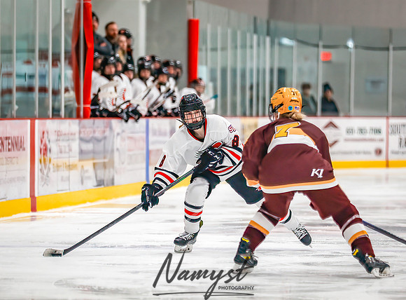 Centennial vs Forest Lake Varsity Hockey 201