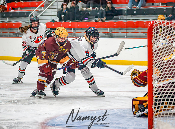 Centennial vs Forest Lake Varsity Hockey 203