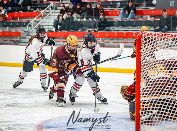 Centennial vs Forest Lake Varsity Hockey 204