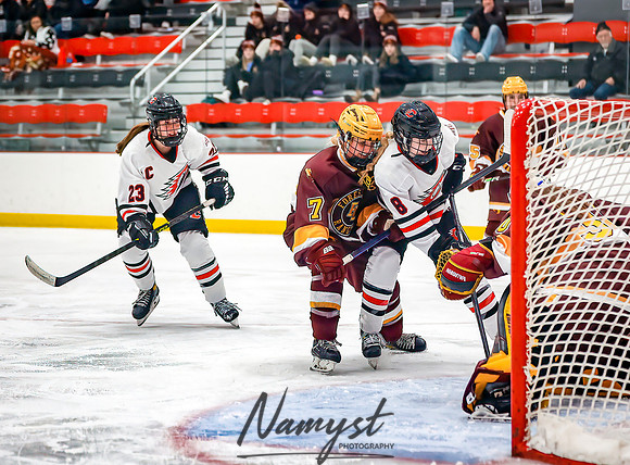 Centennial vs Forest Lake Varsity Hockey 206