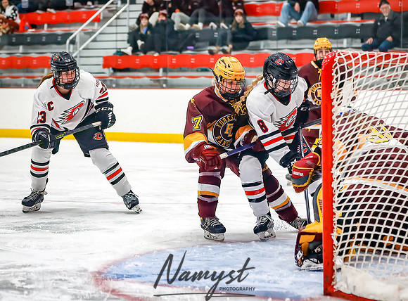 Centennial vs Forest Lake Varsity Hockey 207