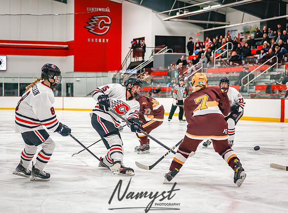 Centennial vs Forest Lake Varsity Hockey 213
