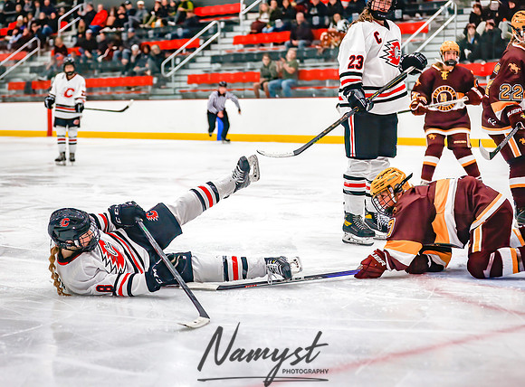 Centennial vs Forest Lake Varsity Hockey 212