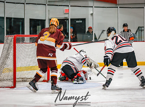 Centennial vs Forest Lake Varsity Hockey 220