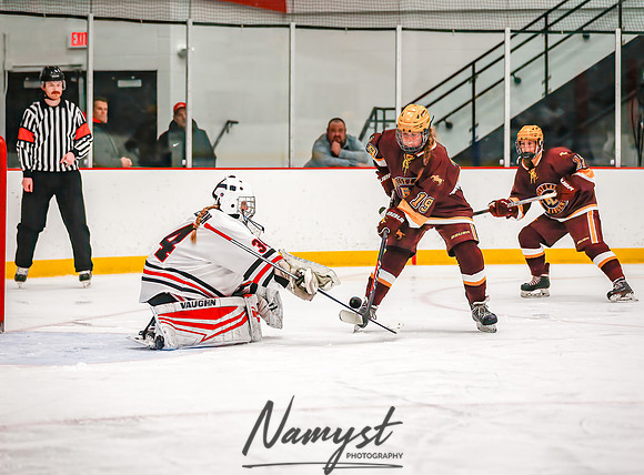 Centennial vs Forest Lake Varsity Hockey 226