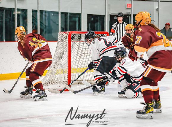 Centennial vs Forest Lake Varsity Hockey 231