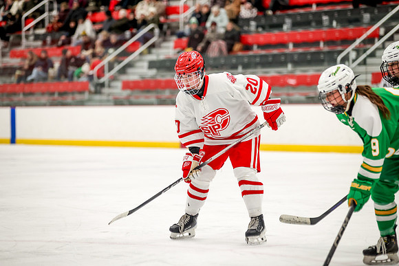 1119 Centennial vs Edina JV