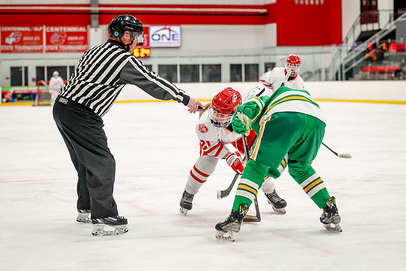 1124 Centennial vs Edina JV