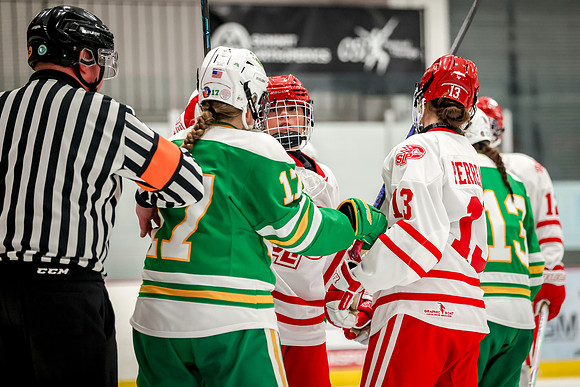 0072 Centennial vs Edina Varsity Hockey