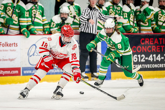 0082 Centennial vs Edina Varsity Hockey