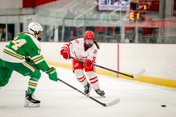 0087 Centennial vs Edina Varsity Hockey