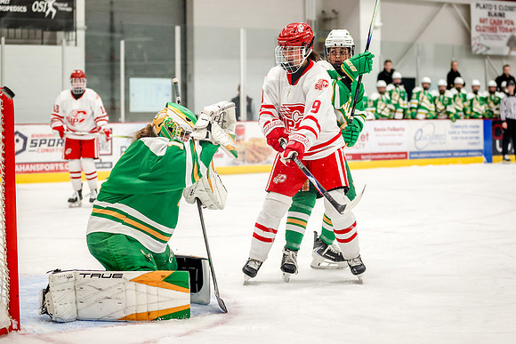 0088 Centennial vs Edina Varsity Hockey