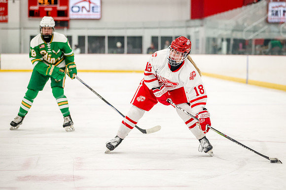 0103 Centennial vs Edina Varsity Hockey