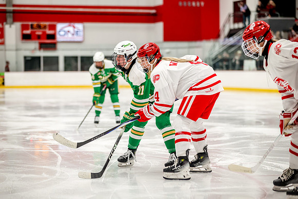 0131 Centennial vs Edina Varsity Hockey
