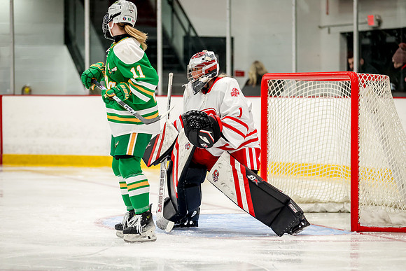 0132 Centennial vs Edina Varsity Hockey