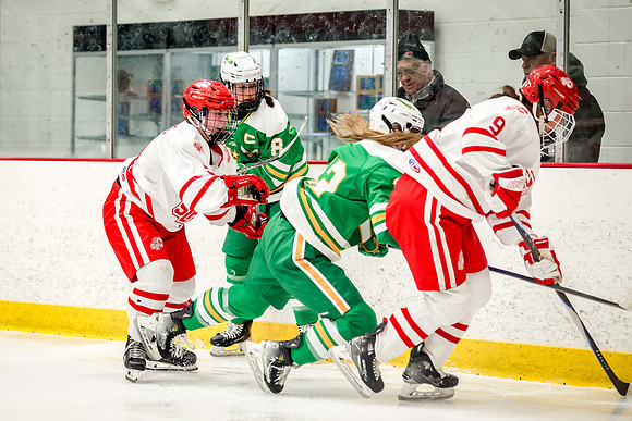 0151 Centennial vs Edina Varsity Hockey